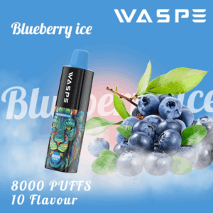 Vue alternative de WASPE 8000
