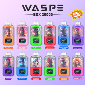 Alternative Ansicht von WASPE 20000