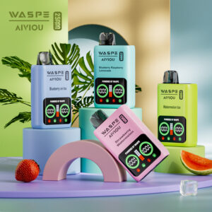 WASPE 25000 – Bild 7