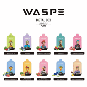 Alternative Ansicht von WASPE 12000 Digital Box