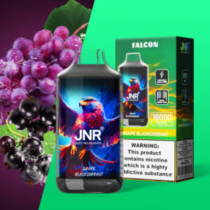 Vue alternative de JNR Falcon 16000