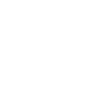 logo light