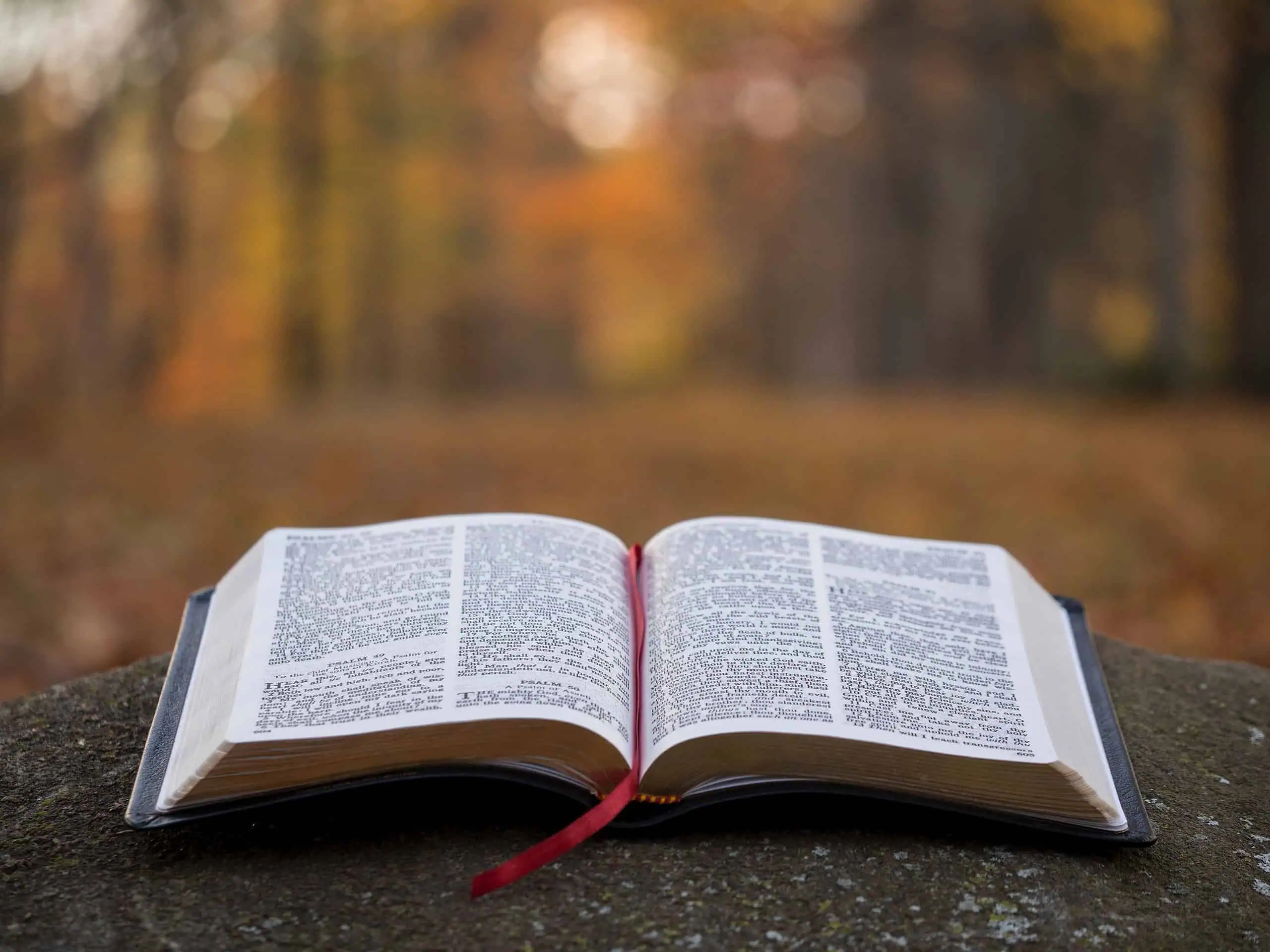 Bible open on a rock in a peaceful outdoor setting with fall foliage.