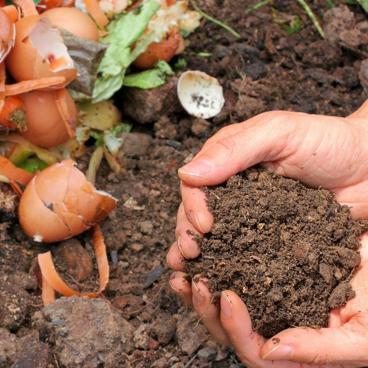 How to Compost: 6 Easy Steps to Create Your Own Compost Heap at Home | The Not so Modern Housewife finished compost in cupped hands - benefits of composting - how to compost