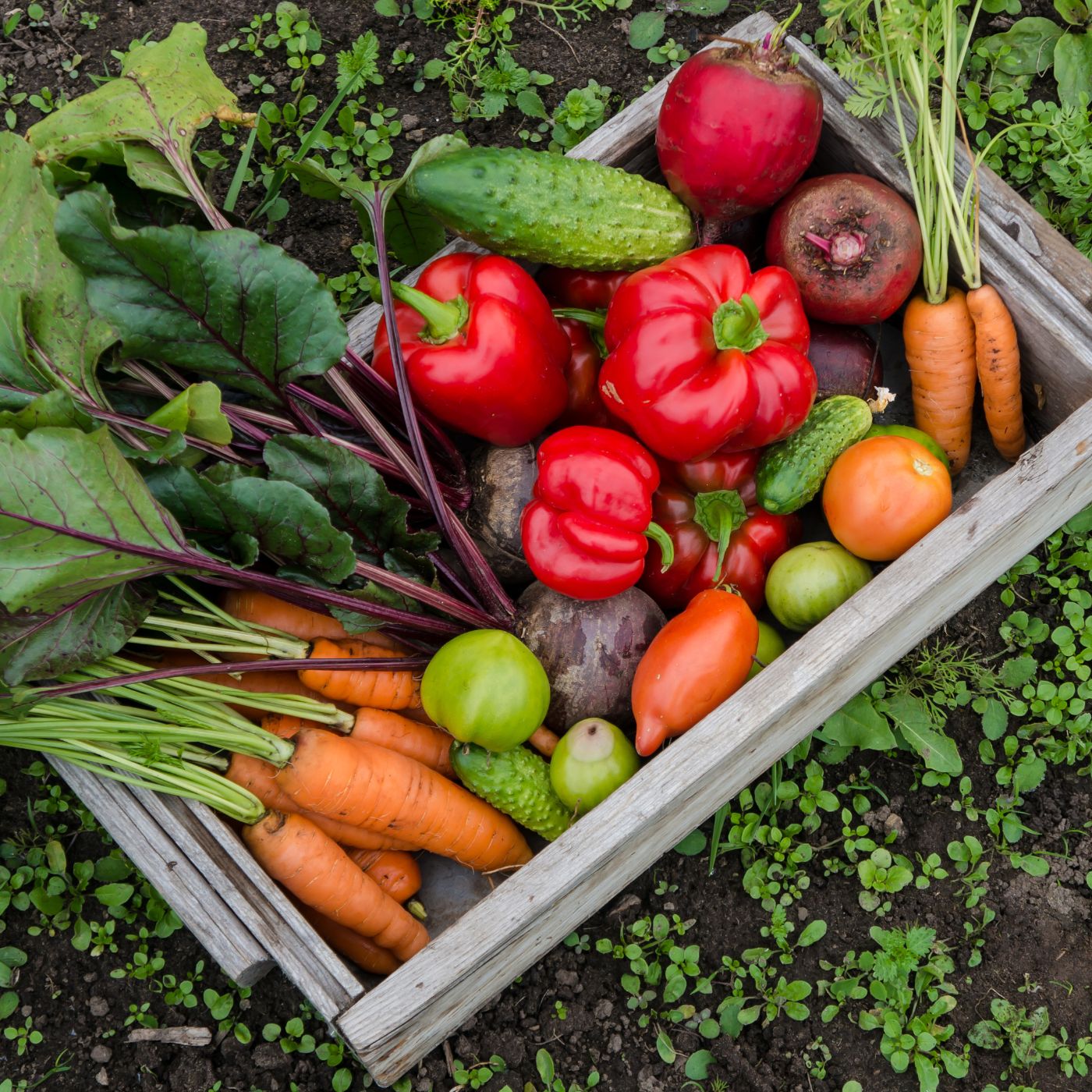 Be a Producer Not a Consumer: 8 Actionable Strategies to Reduce Waste