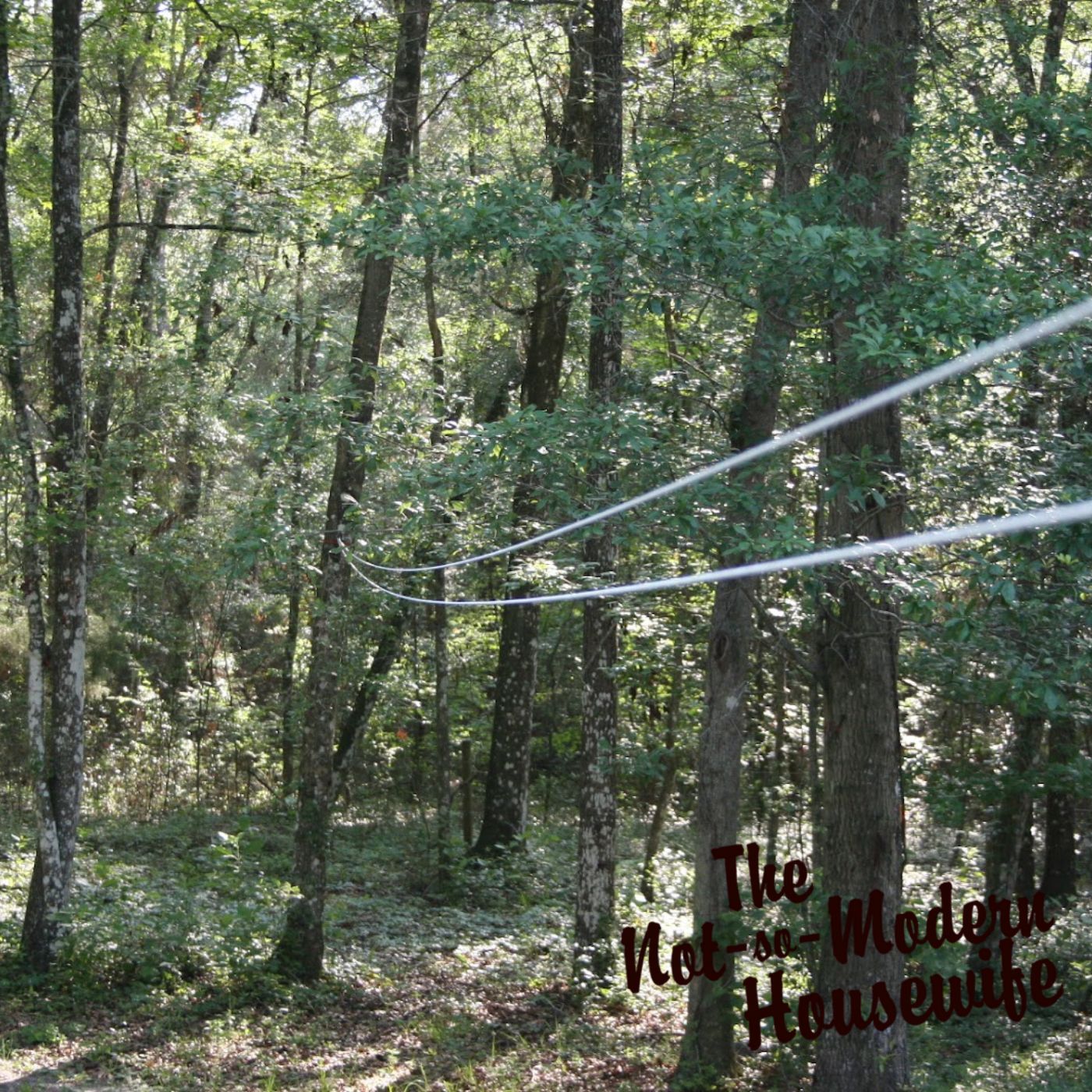 A pulley clothesline system stretched between trees in a wooded backyard, showcasing a DIY outdoor clothesline setup. The double-line design prevents sagging and allows for efficient air-drying of laundry. This energy-saving laundry solution is ideal for homesteaders and sustainable living enthusiasts who prefer eco-friendly homemaking. The image illustrates how a clothesline can be anchored to trees without causing damage, supporting a simple living routine that aligns with Christian homemaking values. The branding of The Not-So-Modern Housewife emphasizes the connection to faith-based simple living and self-sufficiency.