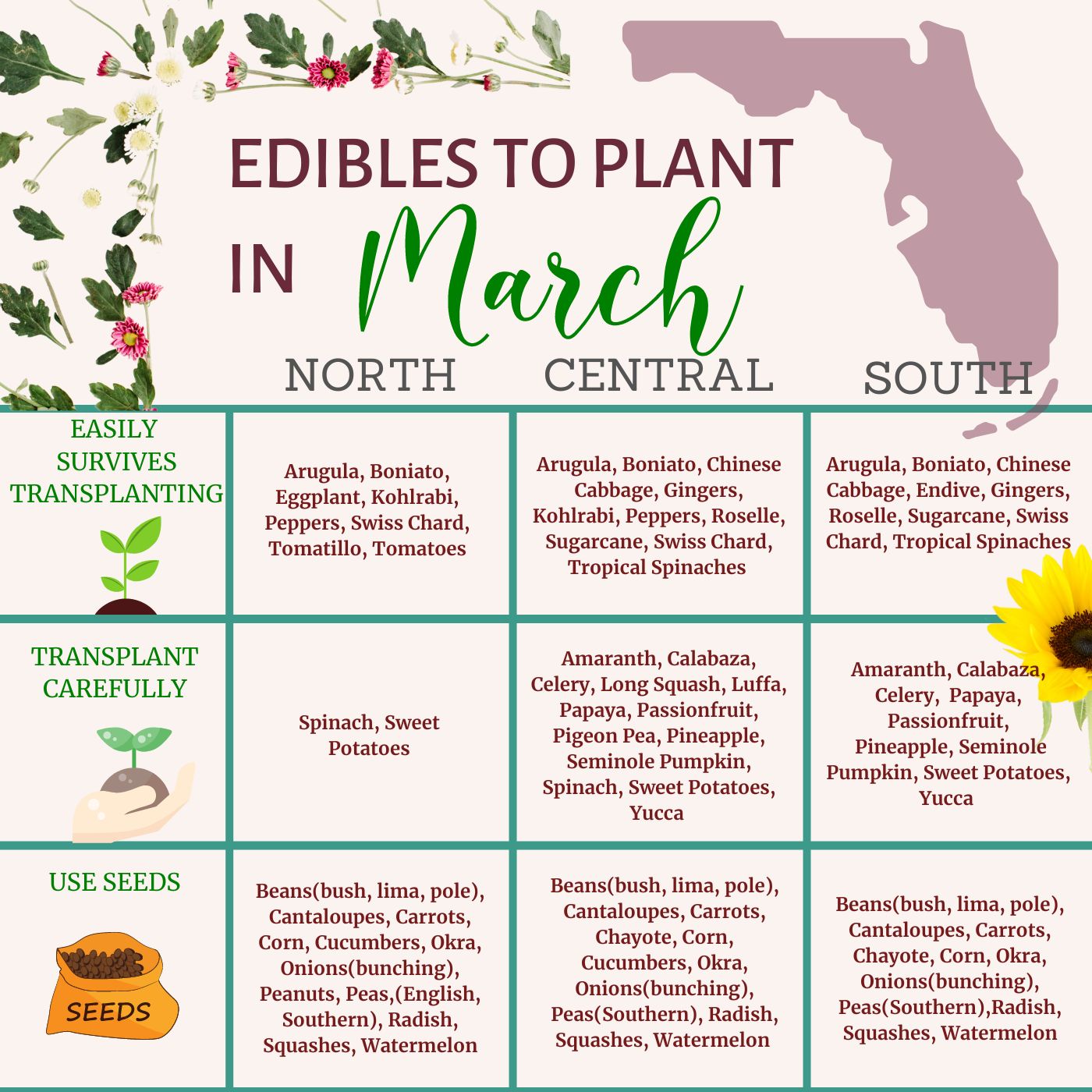What to Plant in March in Florida: Top Picks for a Thriving Vegetable Oasis