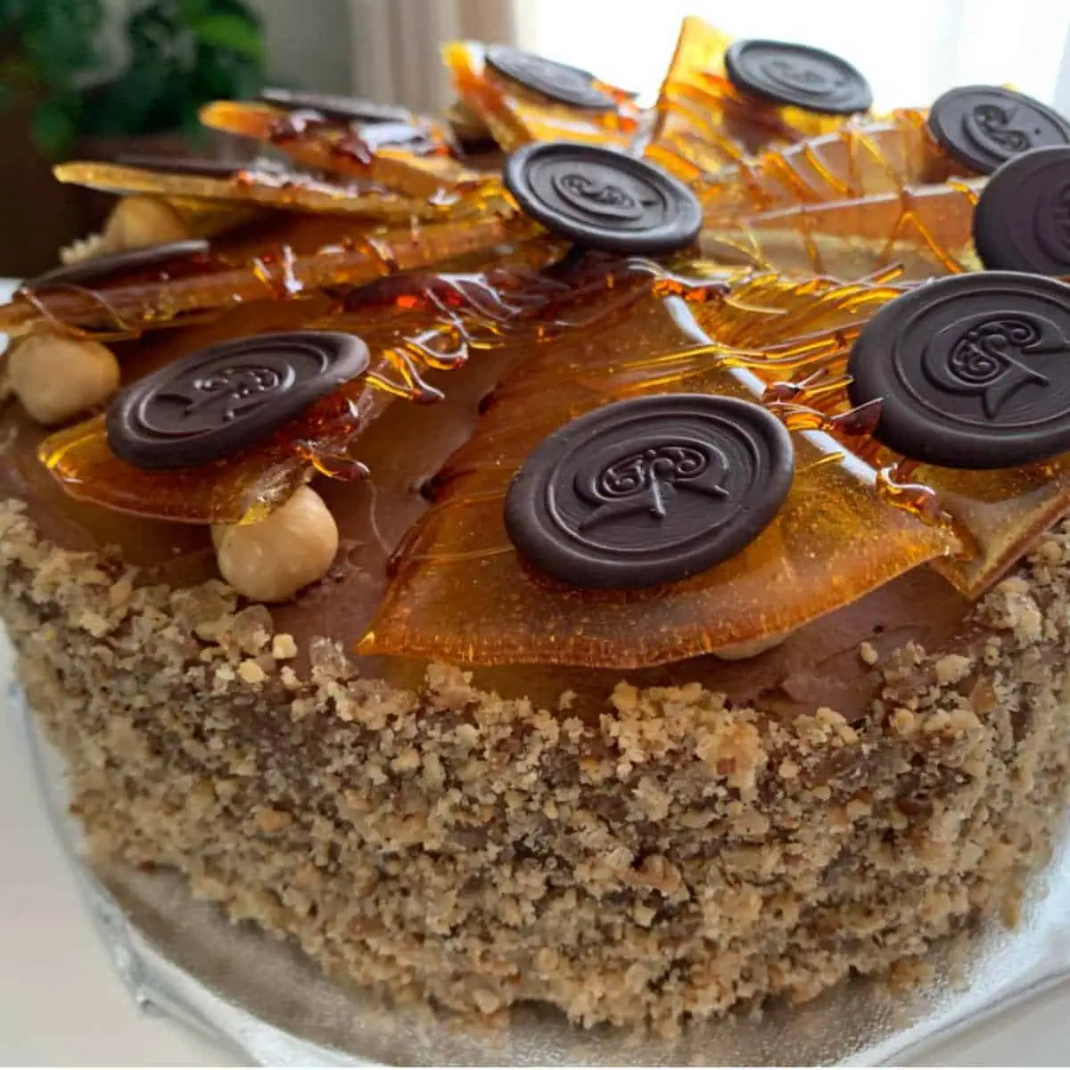 Dobos torte decorated with caramel praline wedges and chocolate coins.