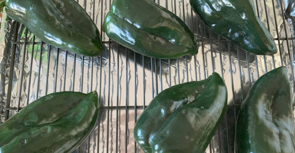 Roasted Poblano Chilis 1