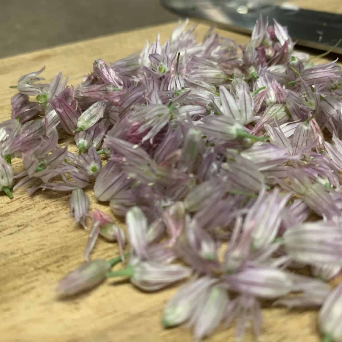 Chive Blossoms.