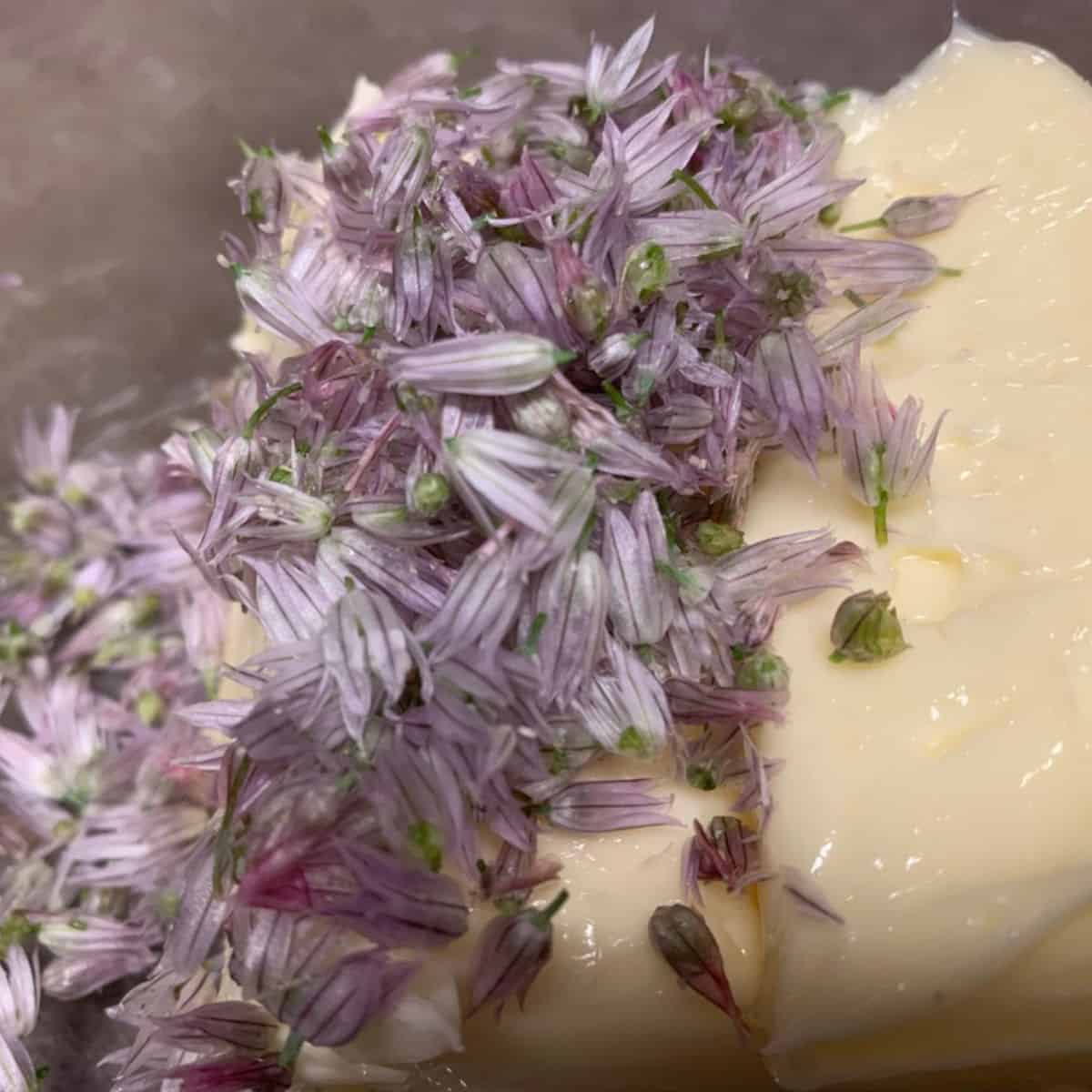 Butter with chive blossoms.