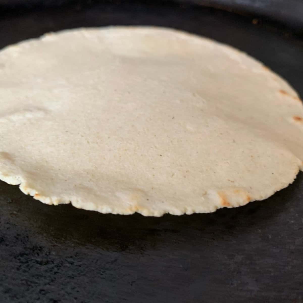 Corn Tortilla 4