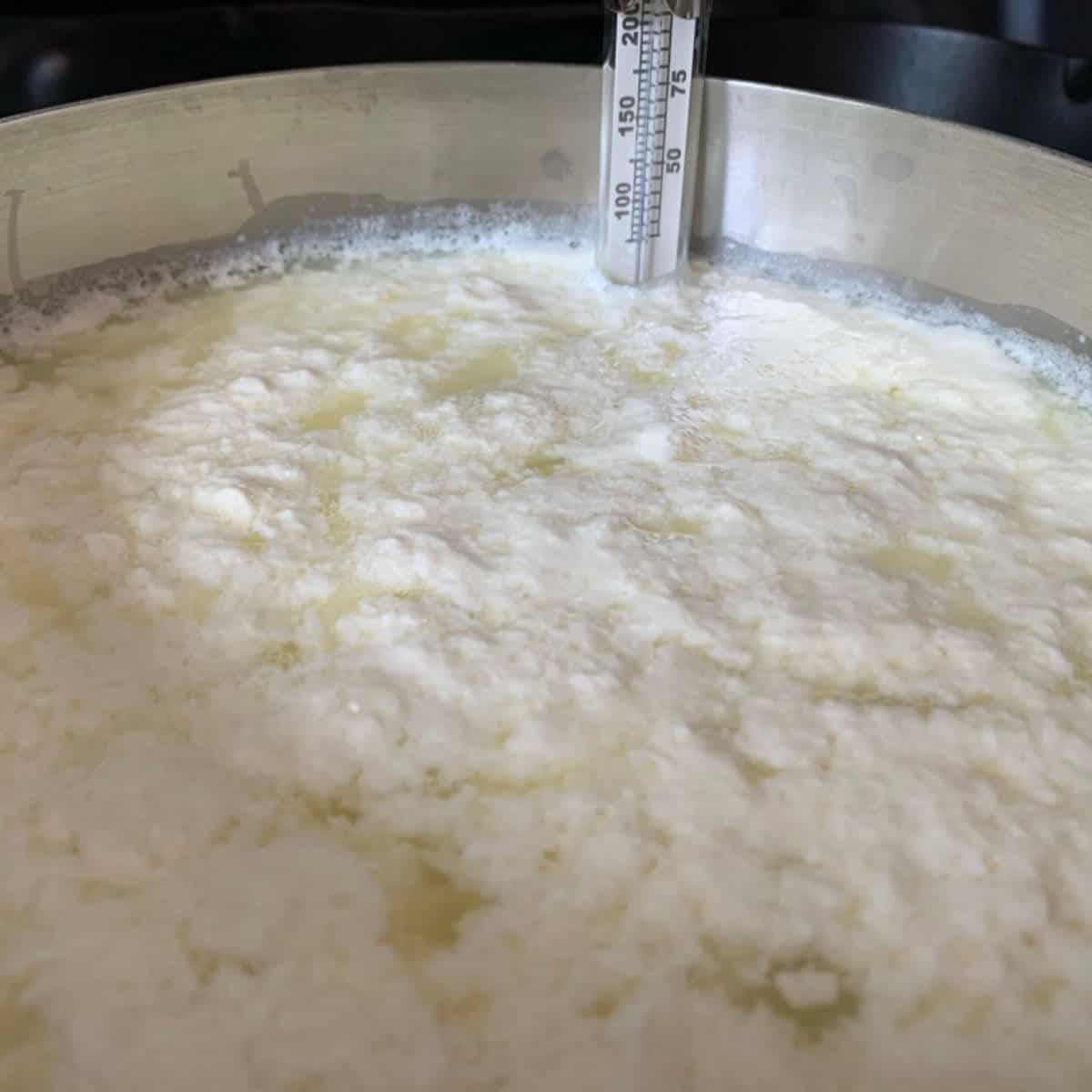 Homemade Ricotta Cheese 7