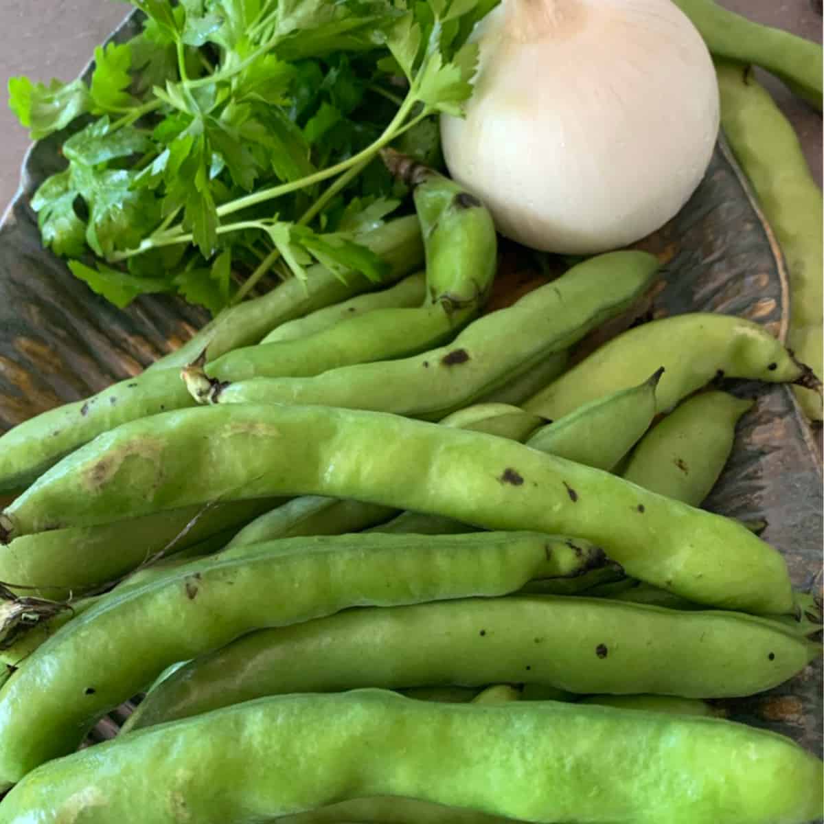 Fava beans, onion and a bunch of parsley on a plate.