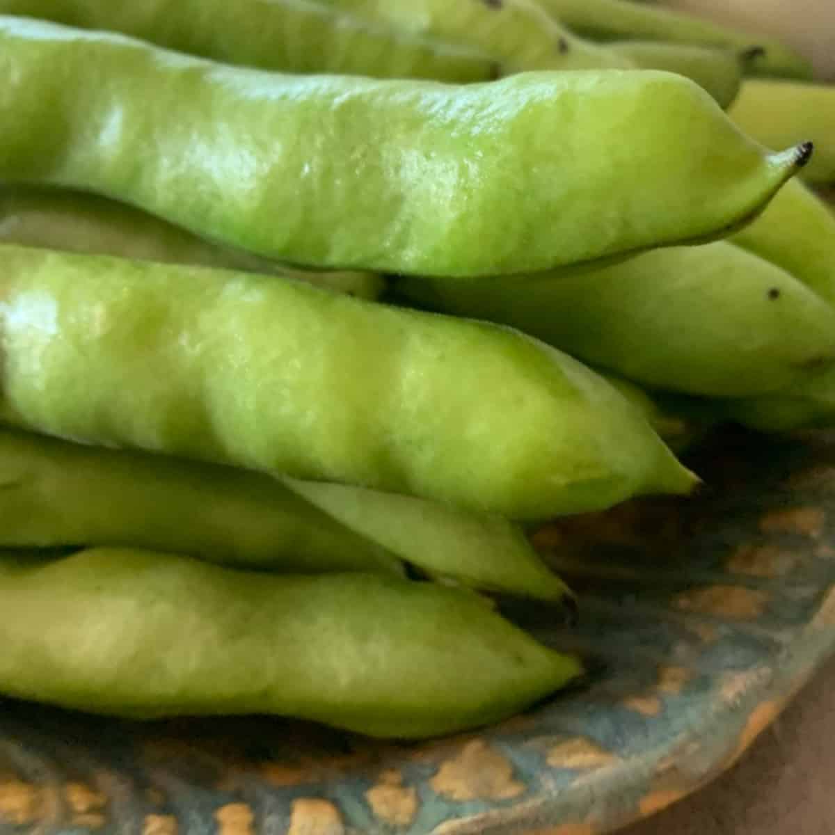 Fava Beans With Onions 8