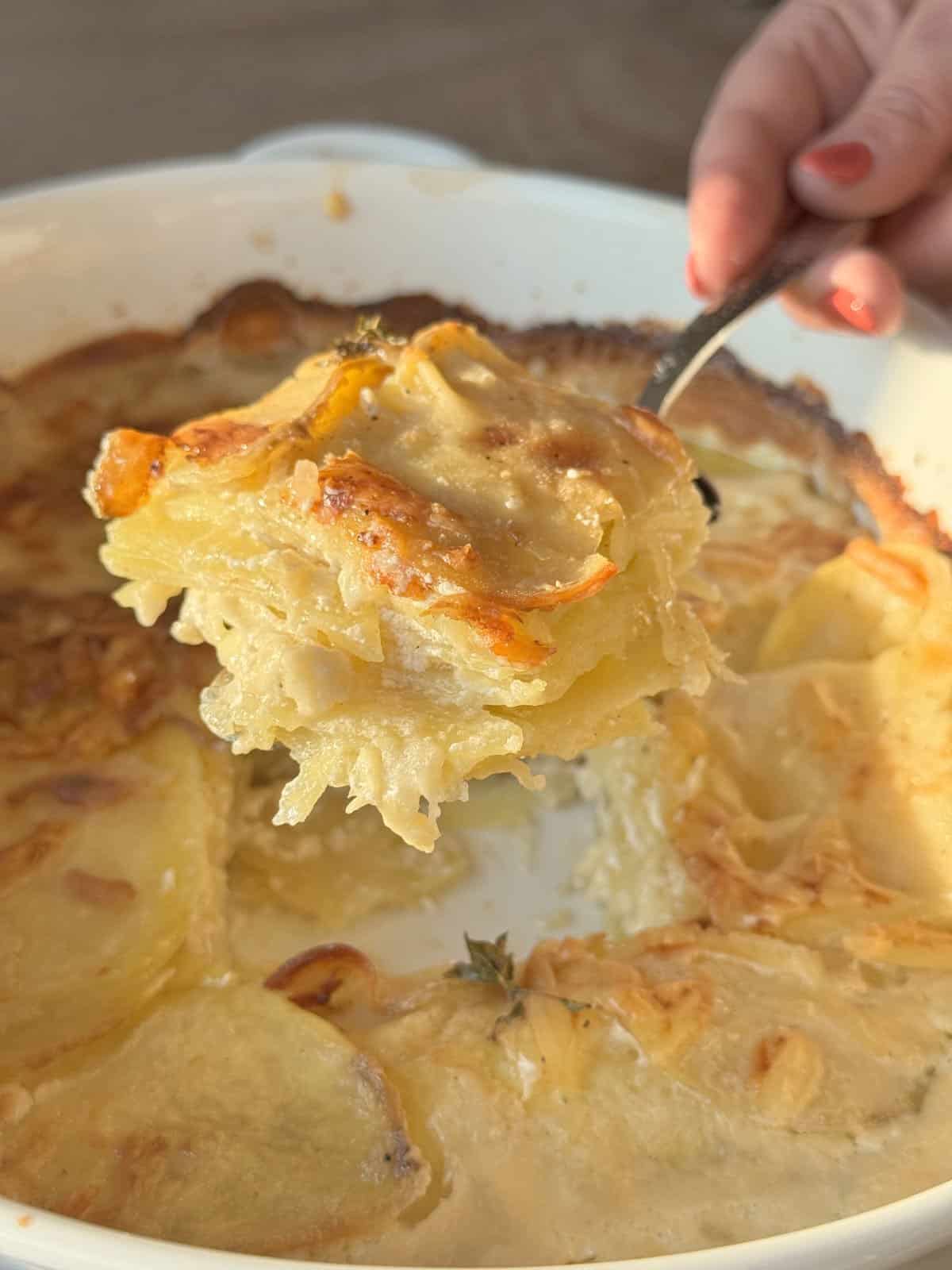 Slice of potato au gratin up close.