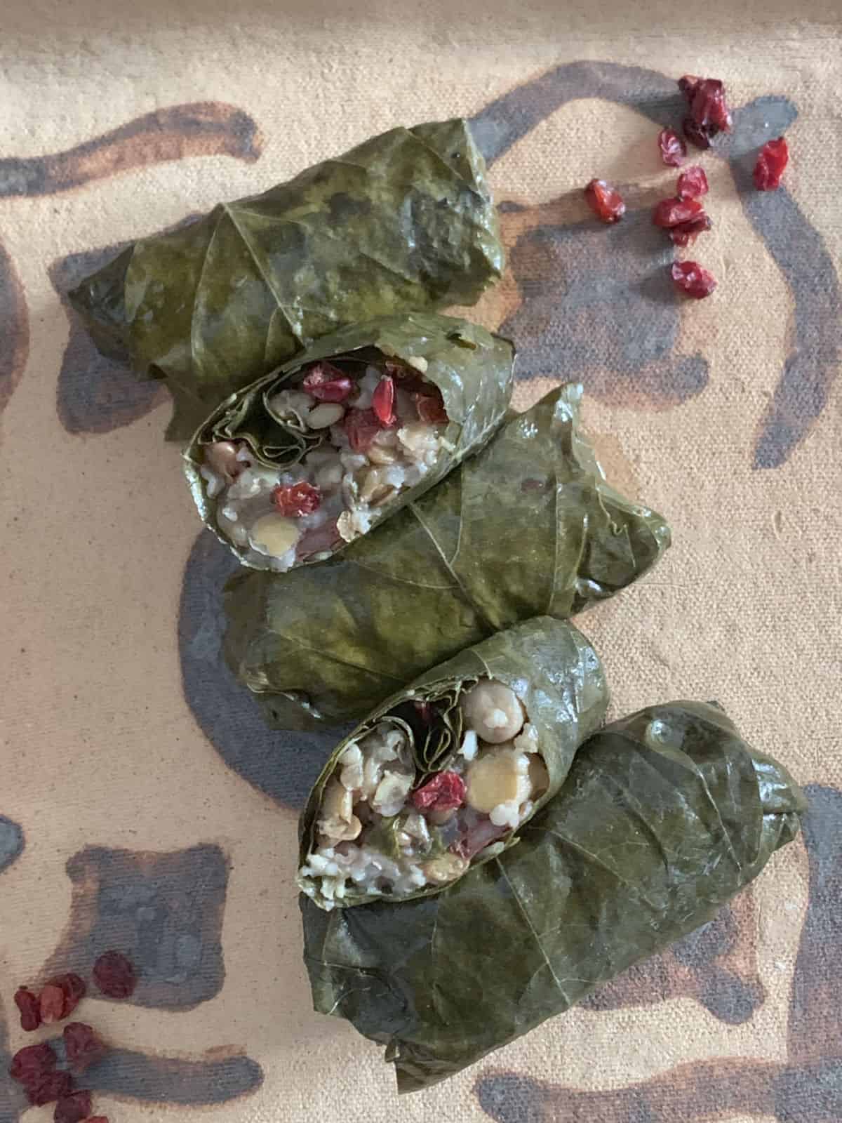 Grape leaf tolma with bean and legumes.