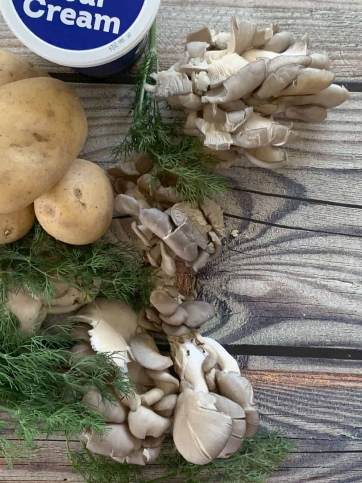 Oyster Mushroom, Potatoes, dill and sour cream.