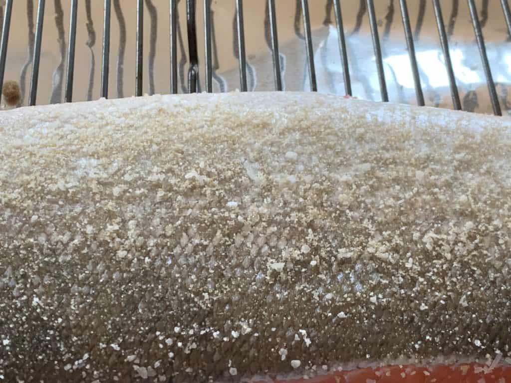 Salmon on a wire rack with dry rub.
