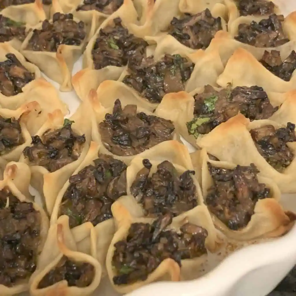 Close-up shot of mushroom manti