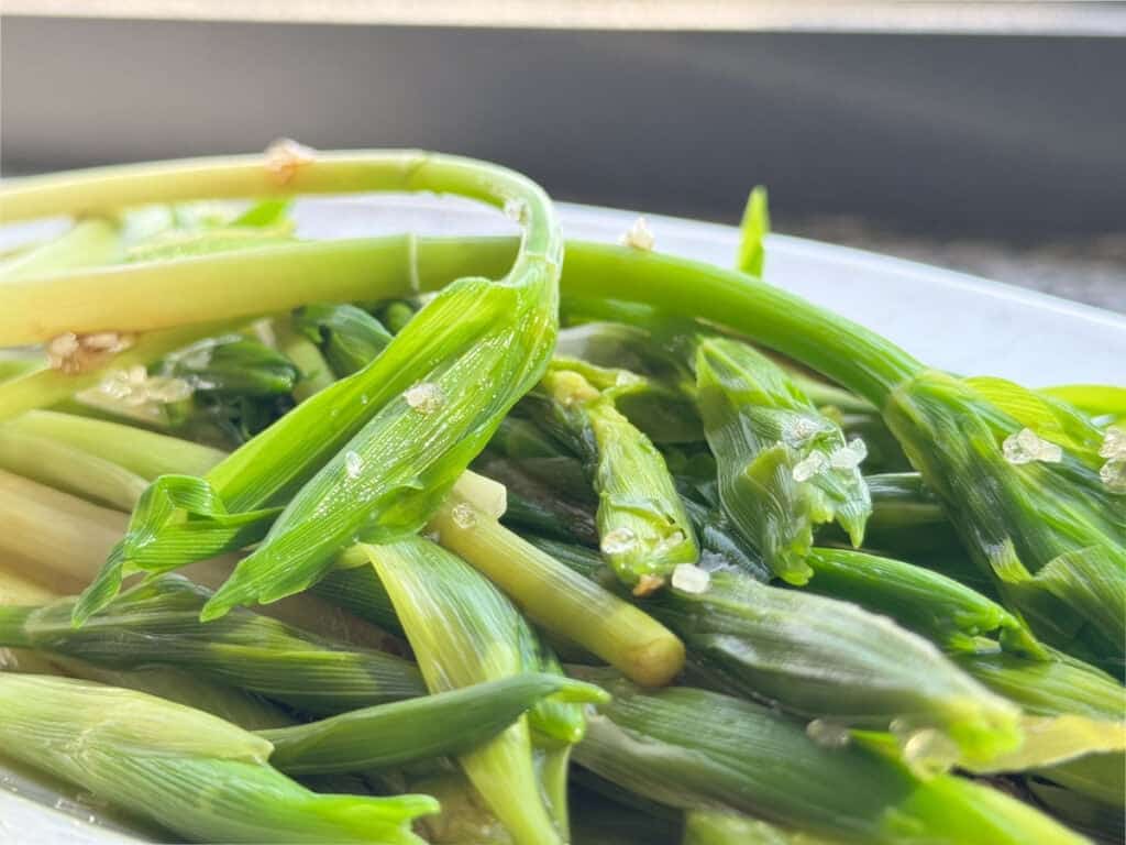 Solomon seal salad.