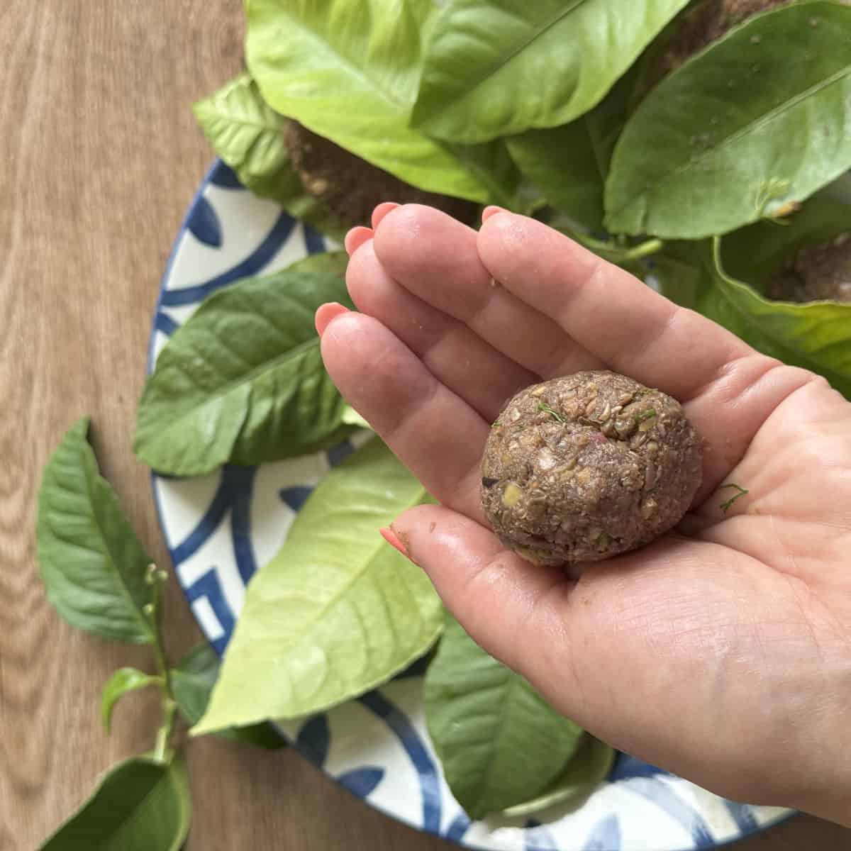 Process of making and wrapping the lentil balls in lemon leaves.