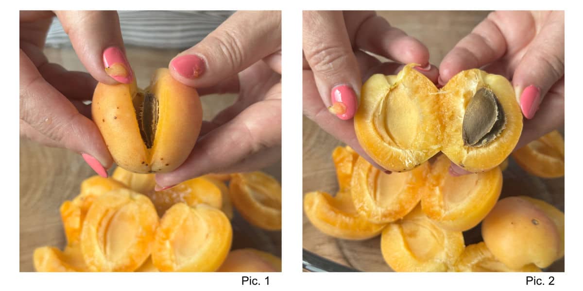 Process shot of removing the pits from apricots for making apricot jam.