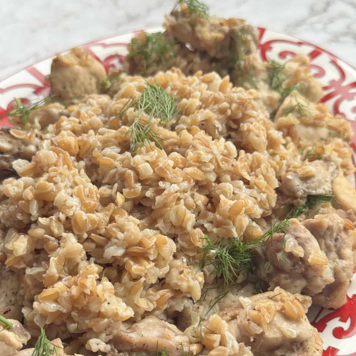 Close-up shot of the farro pilaf with chicken.