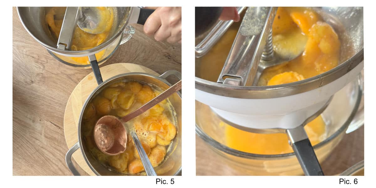 Processing the cooked apricots the food mill.
