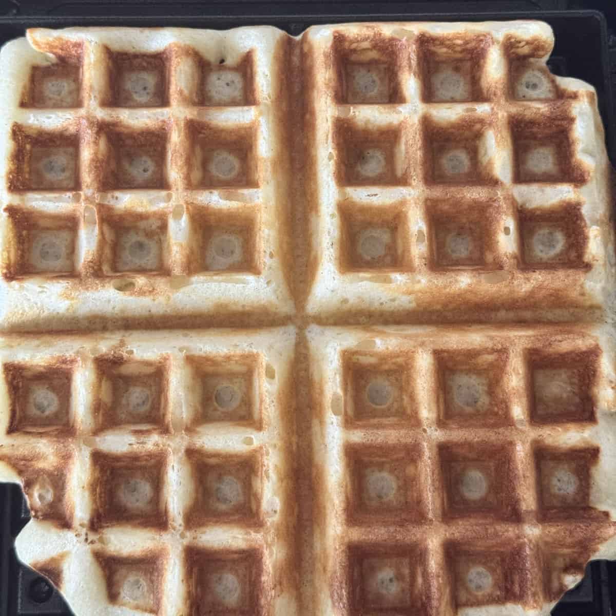 Overhead shot of the kefir waffles in waffle iron.