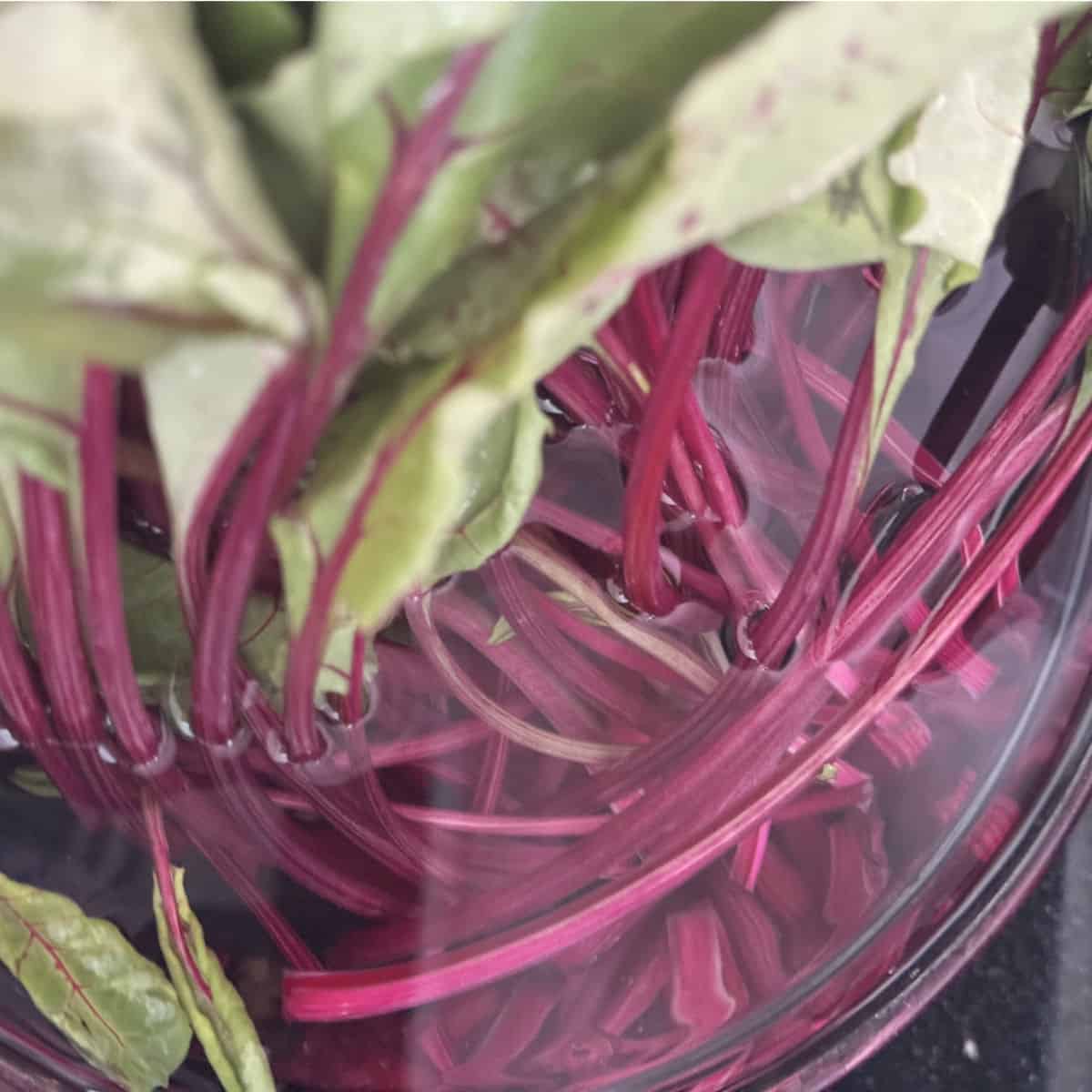 Beetroot greens soaking in a bowl of water.
