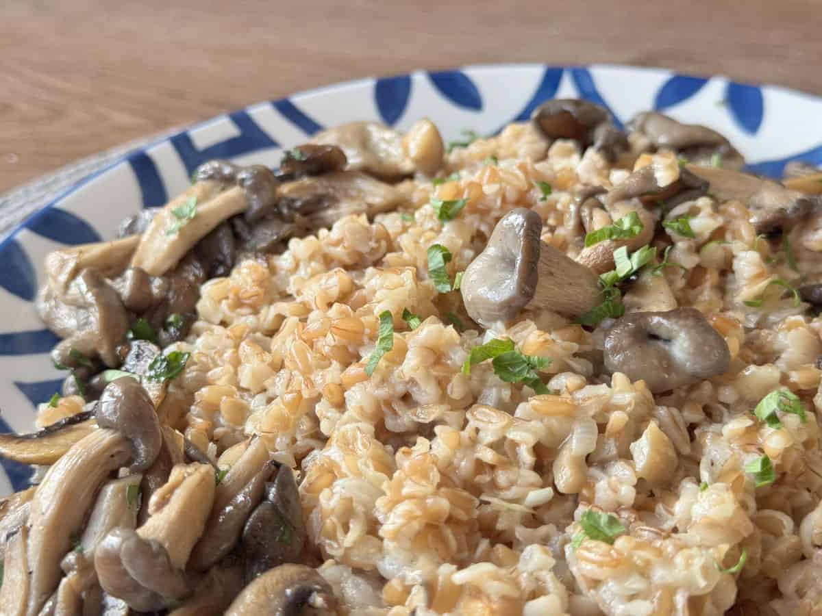Farro pilaf with mushroom on a plater.