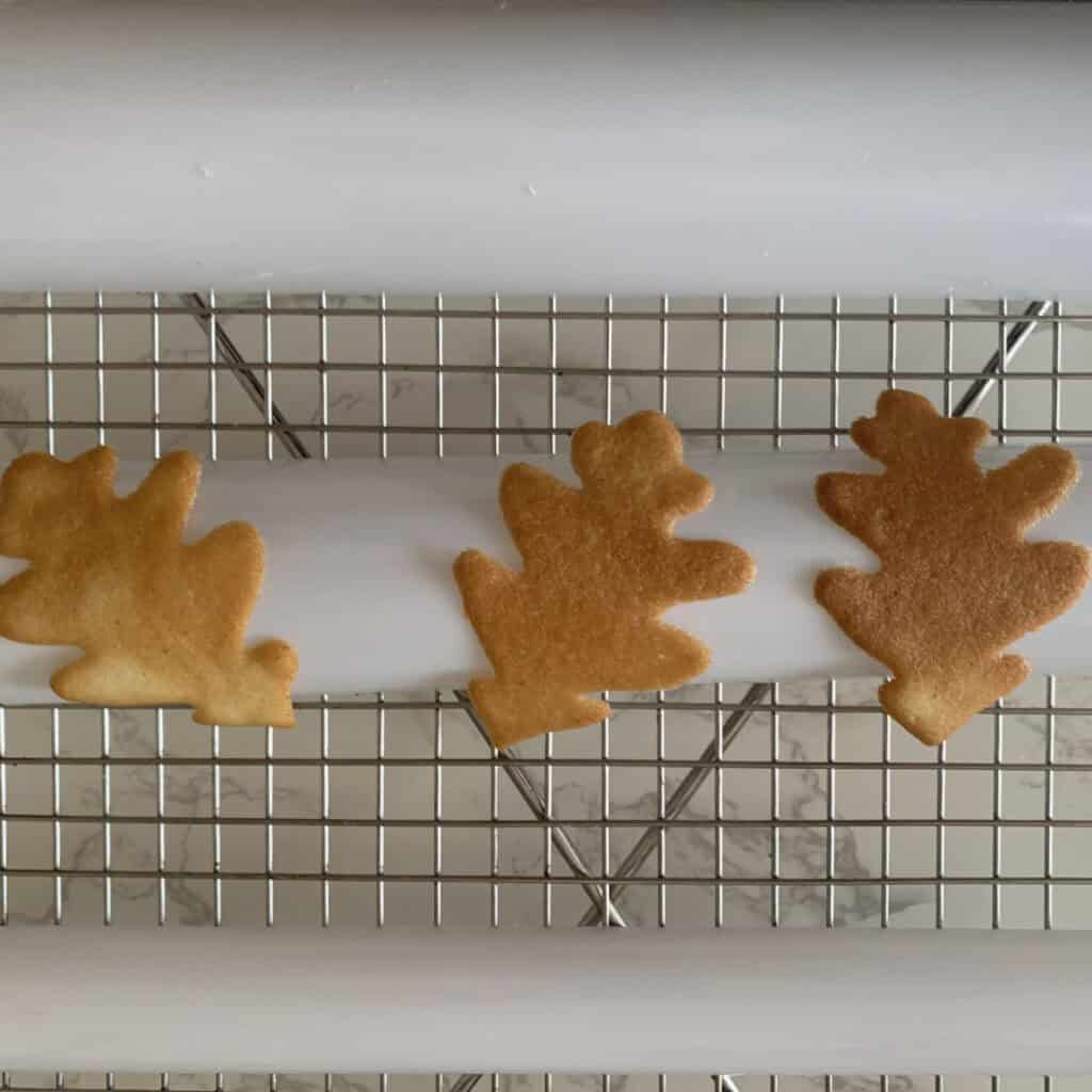Tuile leaves cookies making 12s 8