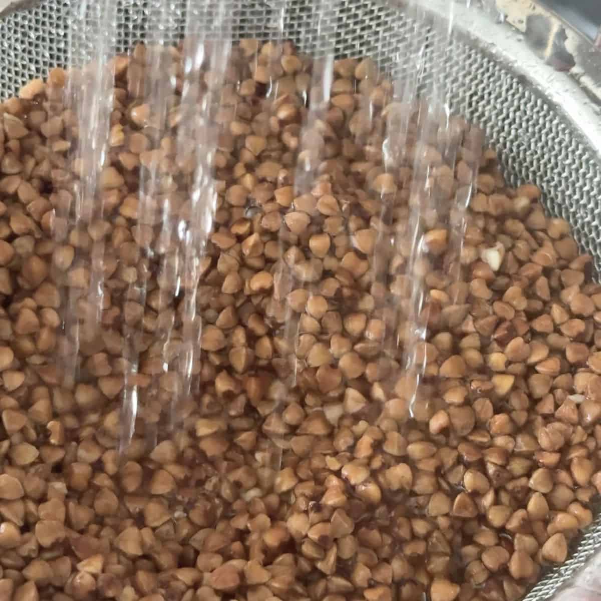 Washing the bukhwheat kernel.