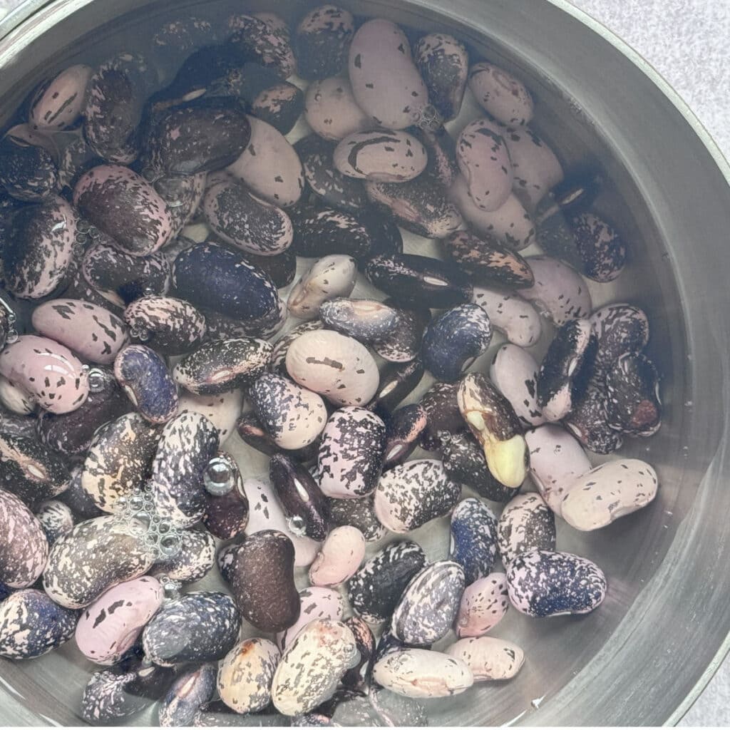 Simmering gigante beans in a pot until tender.