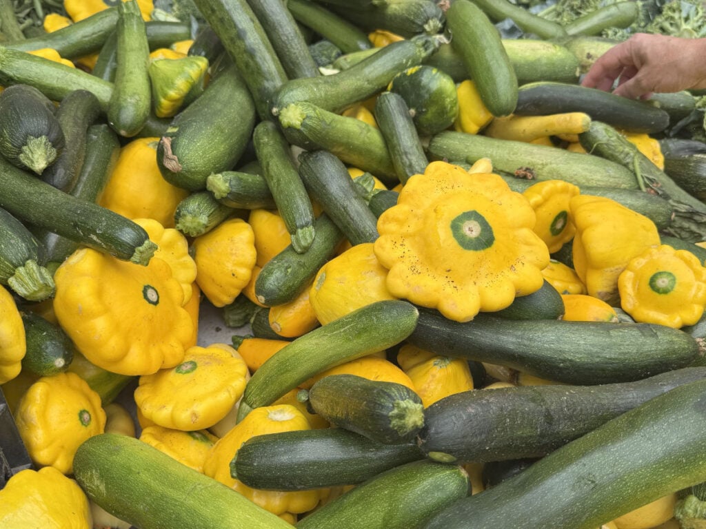 Zucchini and pattypan squash piled at a farmers market stall.