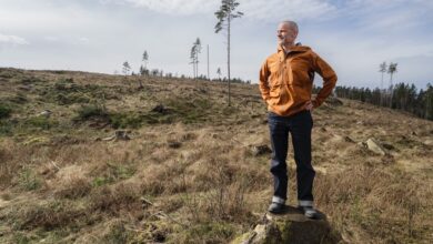 Icebug helps secure ultimate protection for Swedish old-growth forest