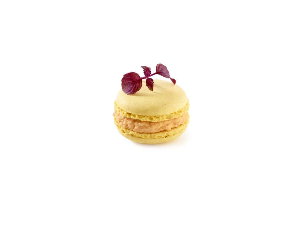 192 Assorted Savoury Macarons