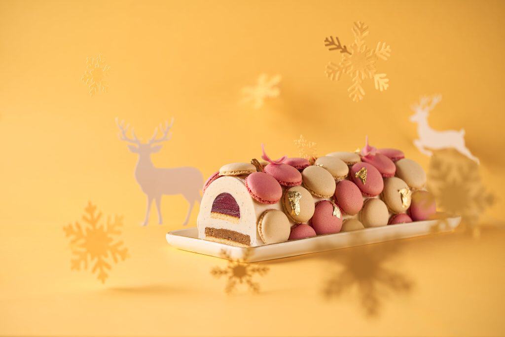 Iced Log Macarons