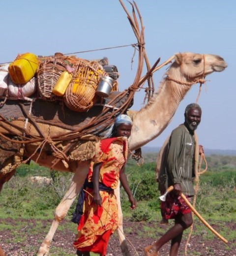 A man and a woman walking beside a camel loaded with household belongings