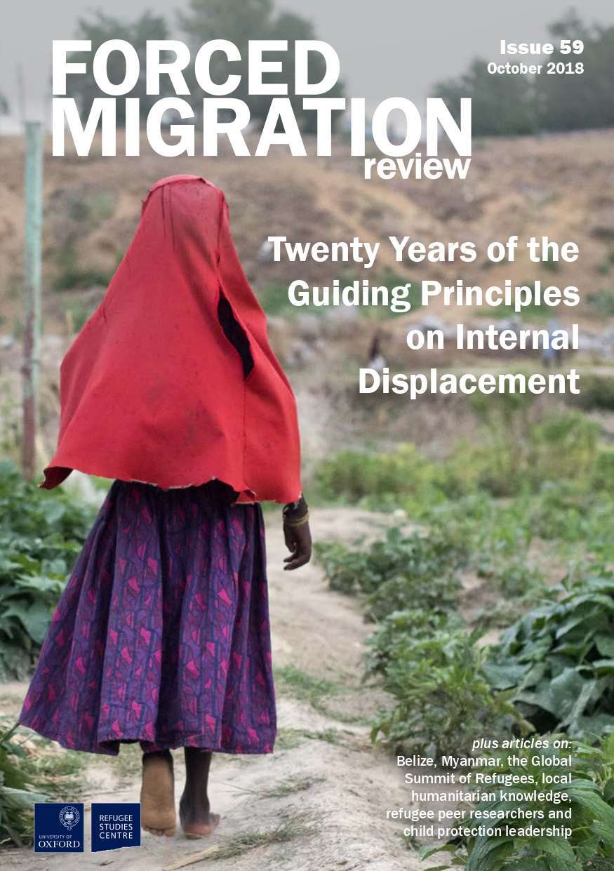 Twenty Years of the Guiding Principles on Internal Displacement