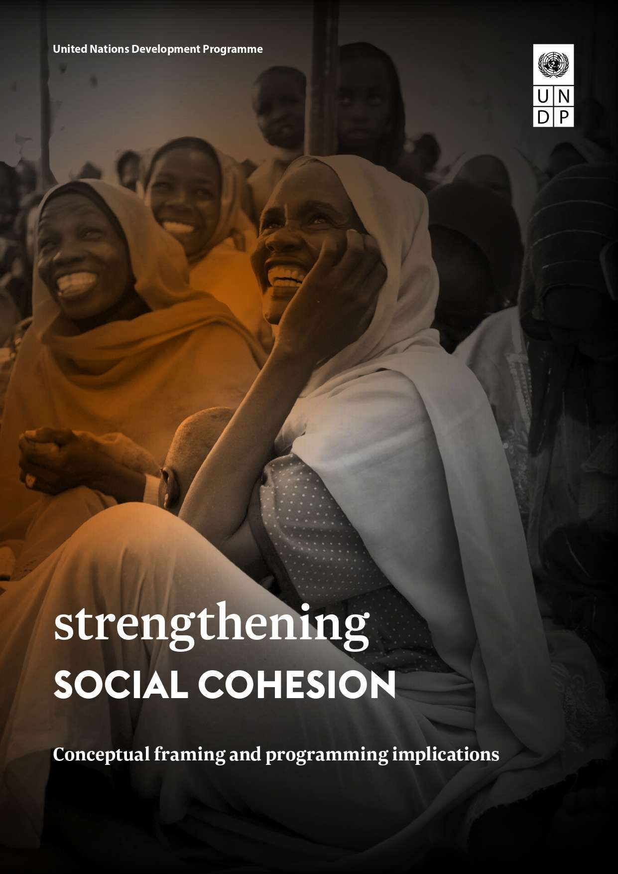 Strengthening social cohesion: Conceptual framing and programming implications