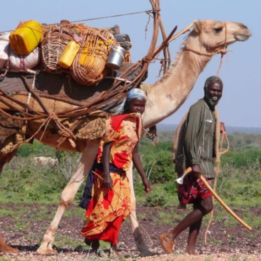 A man and a woman walking beside a camel loaded with household belongings
