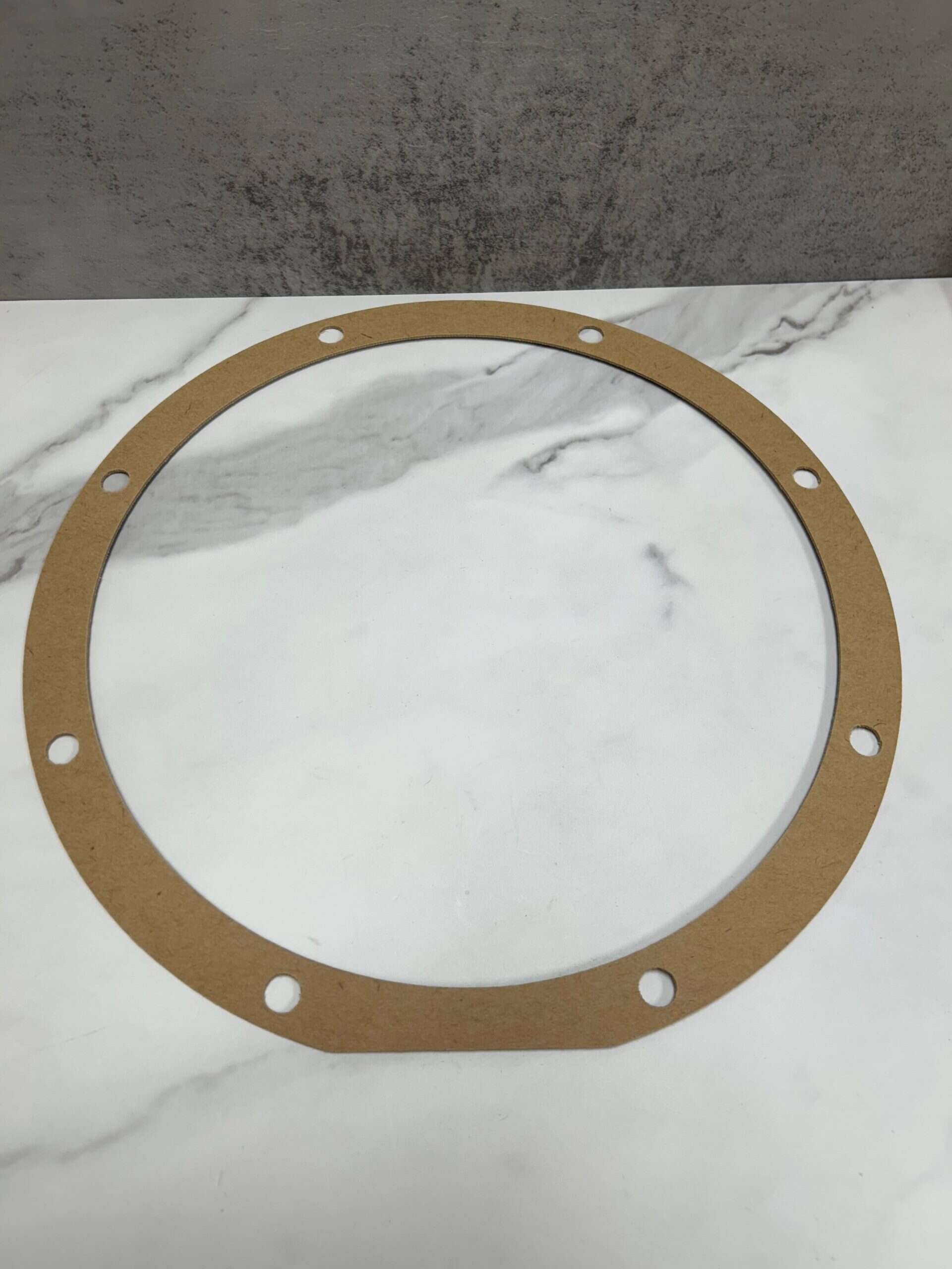 Sta-Rite C-20-87 gasket