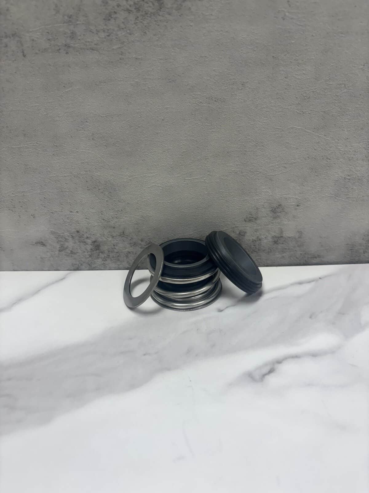 Sulzer ABS 11110095 mechanical seal