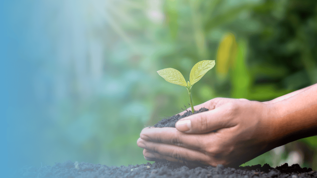 Est-ce que l’assainissement non collectif est écologique Sebico