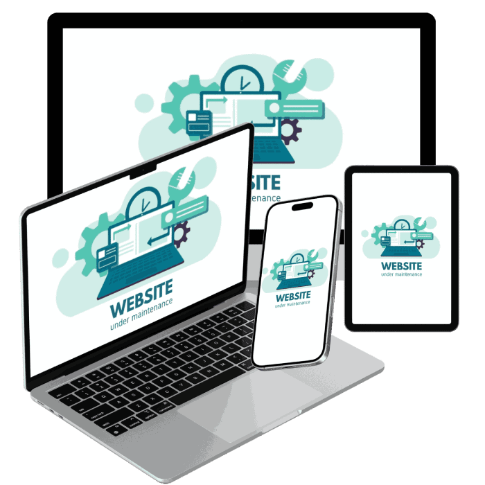 professional website maintenance
