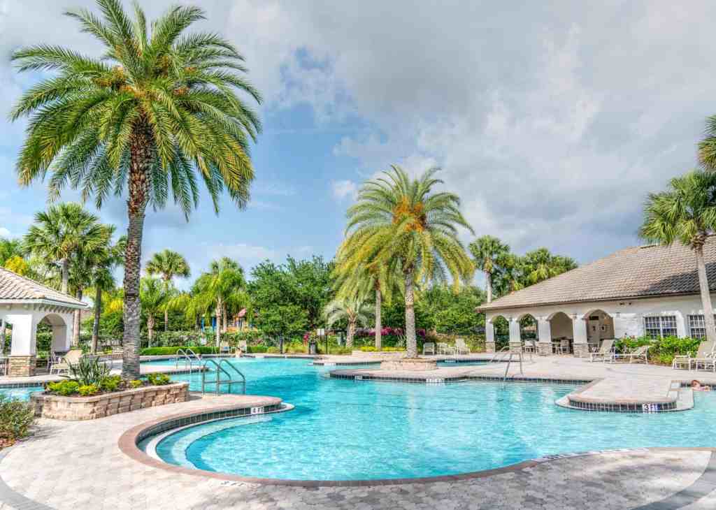 Palm trees near a swimming pool in an Orlando resort.