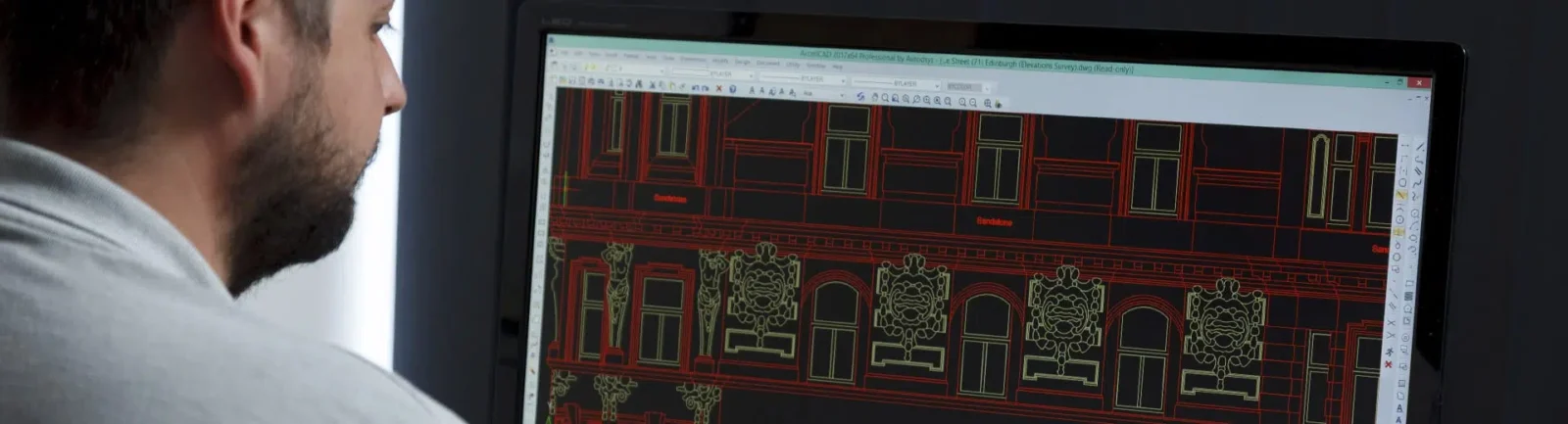 Survey Manager looking at elevations plans