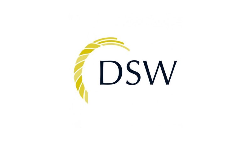 DSW logo